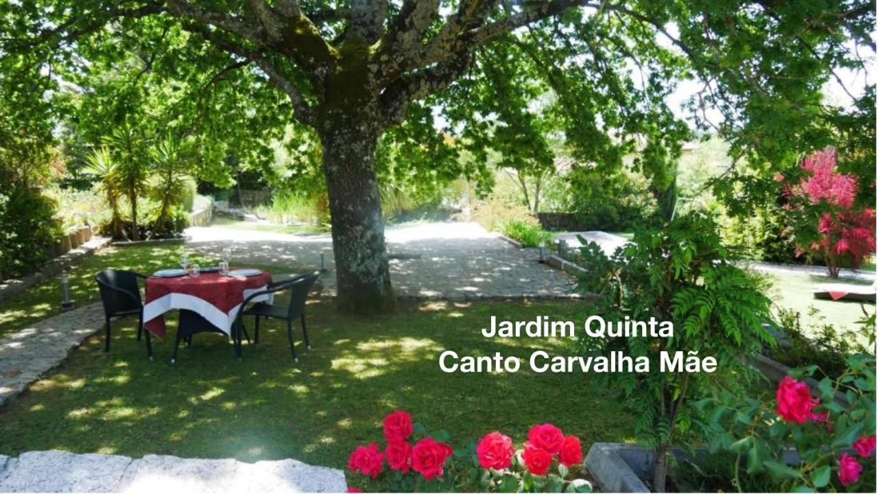 Apartament Quinta Monteluz Viseu Zewnętrze zdjęcie