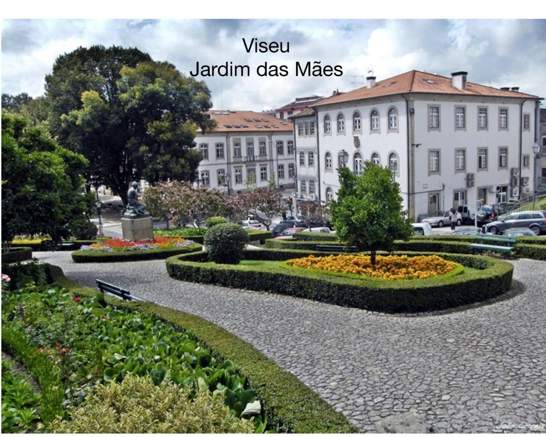 Apartament Quinta Monteluz Viseu Zewnętrze zdjęcie